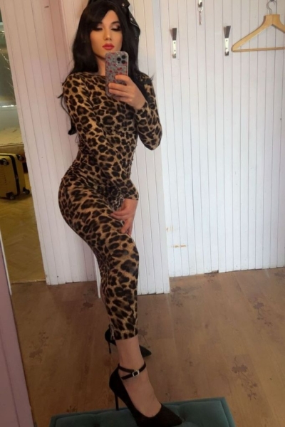 трансы Ярославль